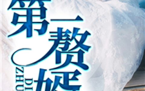 第一赘婿