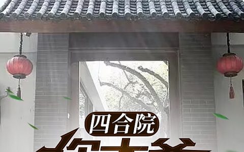 四合院：你大爷还是你大爷