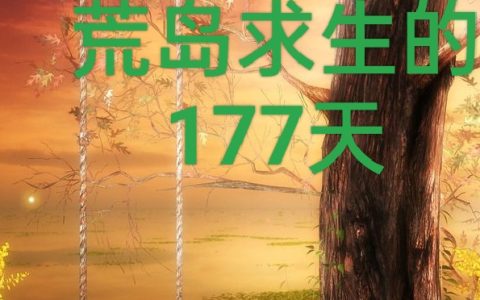 与美女同事荒岛求生的177天小说(陈宇陆寒)全文免费阅读无弹窗大结局