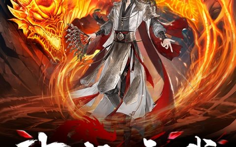 神龙玄武免费(赵鸿)全文免费阅读无弹窗大结局