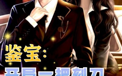 鉴宝:开局一把刻刀,空手去赌石齐辰全文免费阅读无弹窗大结局
