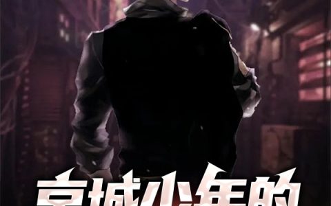京城少年的逆天之路免费(叶开)全文免费阅读无弹窗大结局