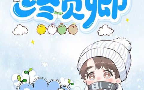 终负卿楚沐柳辰风(楚沐柳辰风)全文免费阅读无弹窗大结局