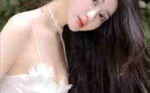 全才隐婿