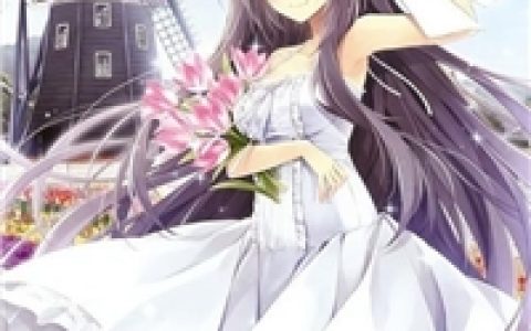 朕，开局有无敌领域
