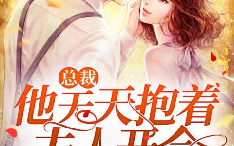 总裁他天天抱着夫人开会