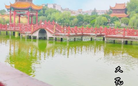 睡觉能存档？全文（陈凡）全文免费阅读无弹窗大结局