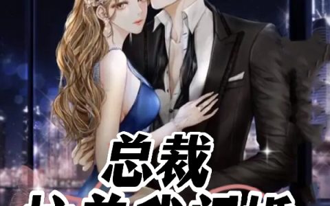 总裁拉着我闪婚魏清落顾忆琛全文免费阅读无弹窗大结局