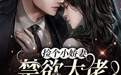 捡个小娇妻，禁欲大佬求怜爱（霍无一安星之）全文免费阅读无弹窗大结局