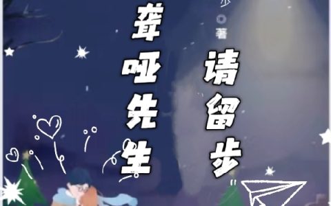 我的聋哑先生请留步（苏蓦顾笙礼）全文免费阅读无弹窗大结局
