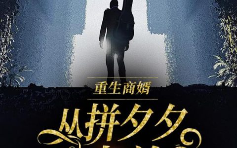 重生商婿：从拼夕夕开始当首富
