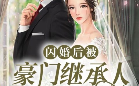 闪婚后被豪门继承人缠上了