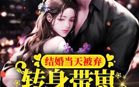 结婚当天被弃:转身带崽惊艳全球