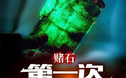 赌石：第一次就见红林枫温婉晴全文免费阅读无弹窗大结局