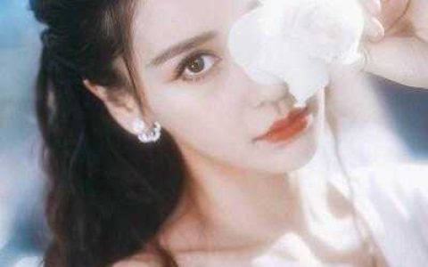 楚枫苏清烟