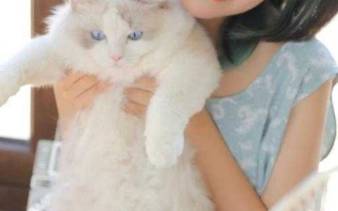 踹翻渣男后，全京城排队求娶