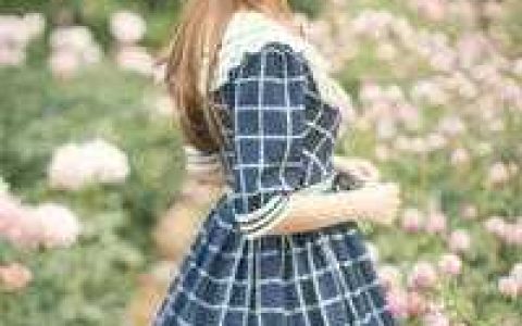 被退婚后，她穿喜服强嫁最猛邪王