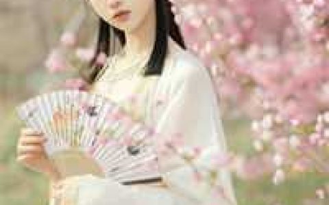 综影视—清风徐来