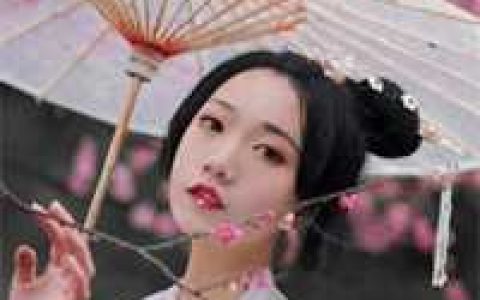 完结版大唐给瞎子让座小说庆修