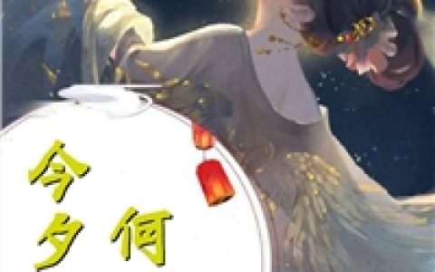 程淼淼叶宁