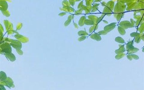 七零全能空间，赚钱养娃两手抓李馨儿陆擎