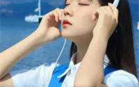 谁还没点副业岳东苏婉儿