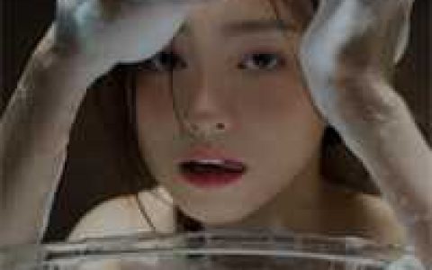 开局一座岛,美女全靠捡