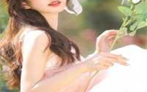 小说修仙：从模拟百妖开始