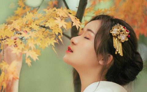 十八道圣旨，我率龙骑夺皇位