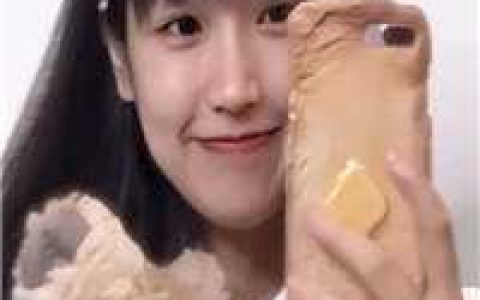 重生之鹏程万里