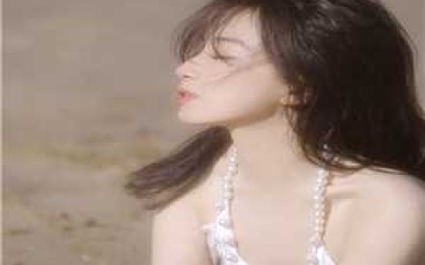 官婿美人图