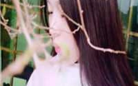 捡来的小团子是神级锦鲤