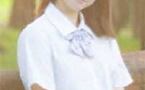 鸿运仕途