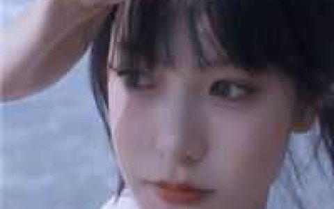 小说浴血残兵