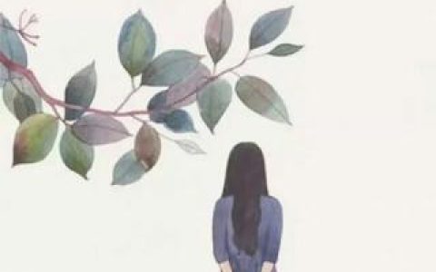 全文闪婚后，何先生马甲捂不住了