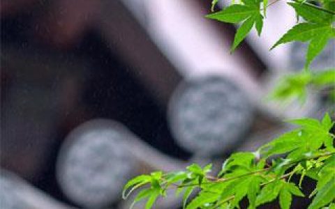 玄幻:我靠炼丹成就无敌