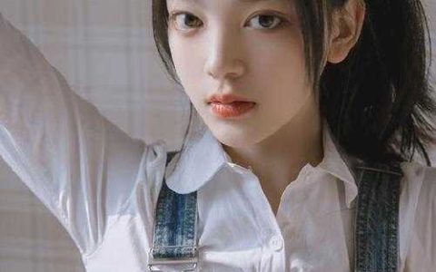 一品红人