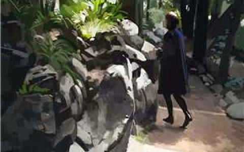 禀告首辅，夫人她又去给你物色美女了