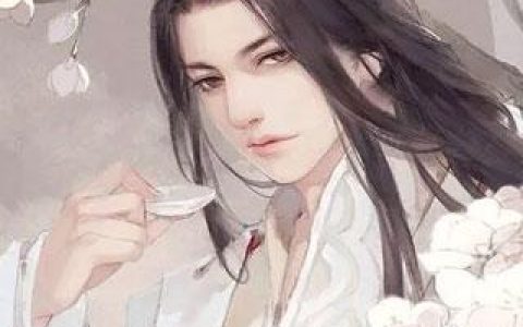 我没有主角的命