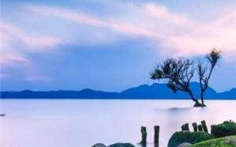 矜娇公主穿越现代后成为万人迷
