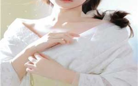 不离不妻:总裁复婚我不约