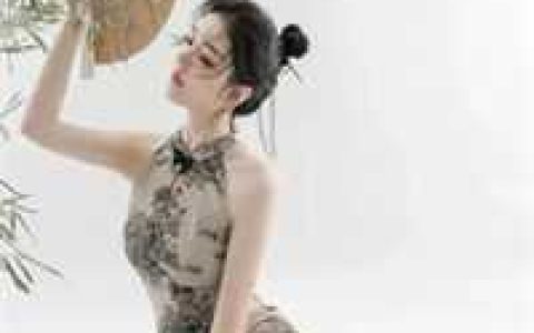 麻衣王婿