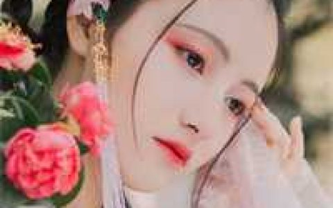 皇上，投降吧，太子又造反了