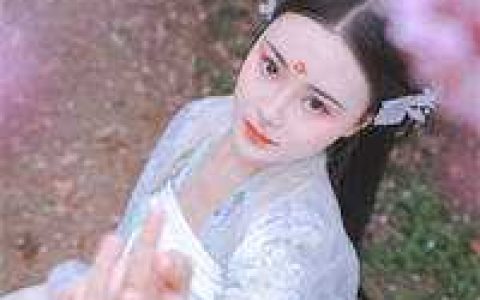 出山退婚，开局十张婚书