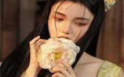 少年下山踏诸天小说