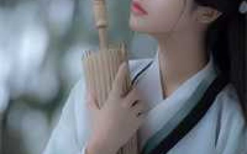 重生之鹏程万里