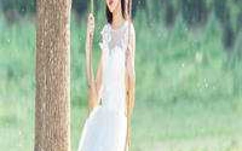 出山退婚，开局十张婚书
