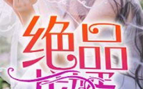 大小姐的贴身相师