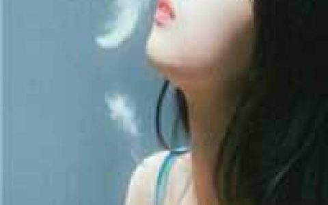 杀人日记，我写的！卢小云陈晓