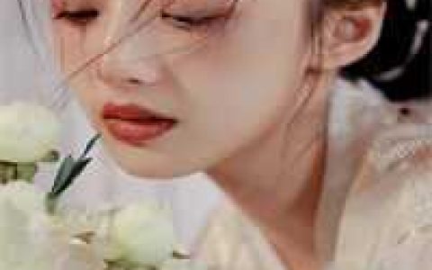 和国民女神领证后，我成了男人公敌